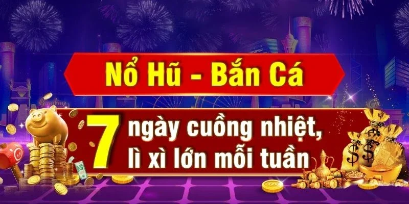 Hoạt động hợp pháp dưới sự giám sát quốc tế  